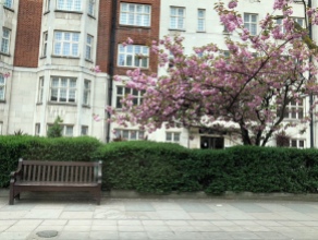 Spring-time in London